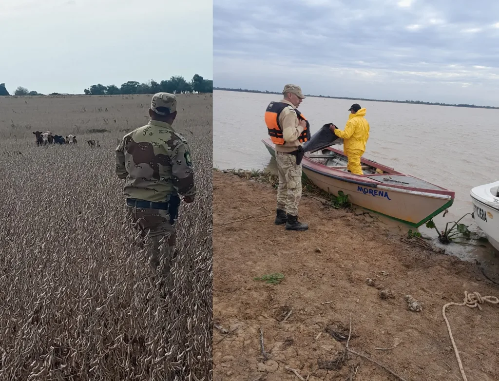 Policía de Entre Ríos encuentra animales extraviados y secuestra arma durante operativos rurales y fluviales