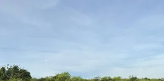 Policía Rural de Villaguay localiza animales robados en un campo vecino