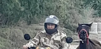 Robo de animales en una quinta de Paraná: recuperan un caballo