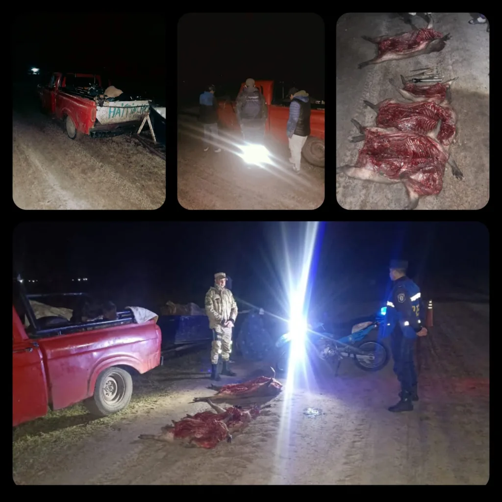 Ruta Provincial 28: Detienen a tres hombres con carpinchos faenados