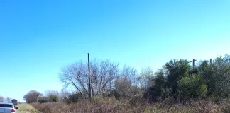 Ruta 39: Un joven resultó lesionado tras volcar su auto al colisionar con un camión en Herrera