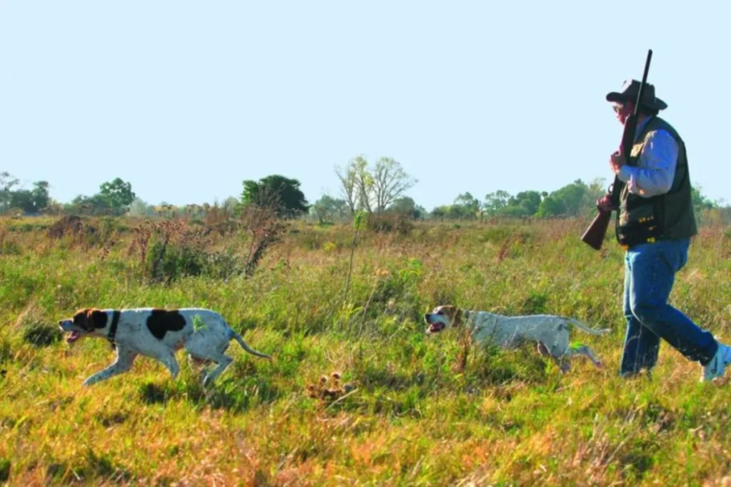 Entre Ríos habilita la temporada de caza menor 2025 con menos especies, mayores restricciones y sustento científico
