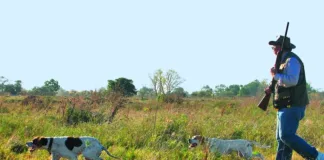 Entre Ríos habilita la temporada de caza menor 2025 con menos especies, mayores restricciones y sustento científico