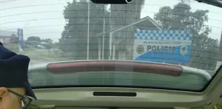 Interceptan vehículo que transportaba 150 palomas en un control