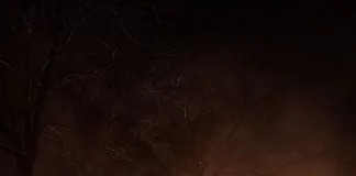 Incendio en una vivienda en Quinto Ensanche de Mayo: Departamento Uruguay