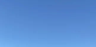 Caballos sueltos en Concepción del Uruguay: intervención policial y de Zoonosis