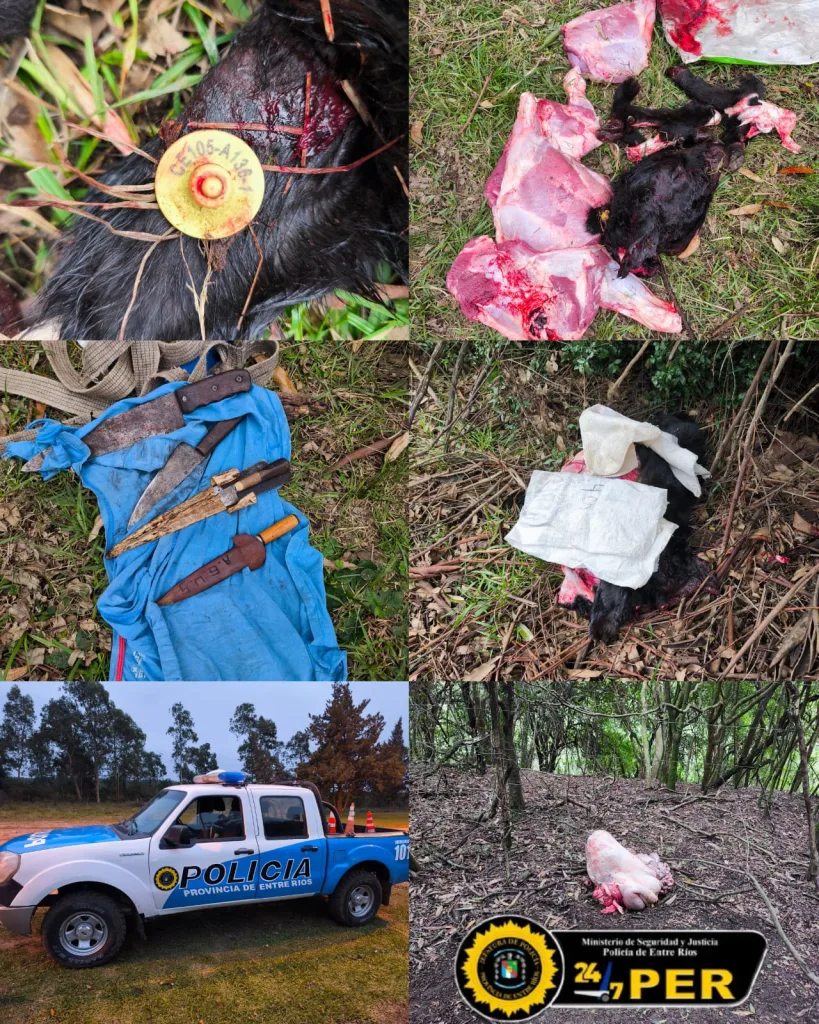 Dos menores fueron detenidos por abigeato tras carneada clandestina