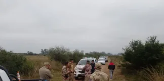 Detienen a dos menores a caballo tras faenar un ternero en un campo de Federación