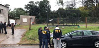 La Policía Federal interviene en el caso de un vehículo hallado con presuntas irregularidades