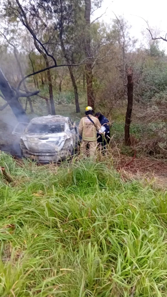 Tragedia en Entre Ríos: despistó en la Autovía 12, chocó con un árbol y murió calcinado
