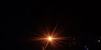 Conductor brasilero borracho evade control en ruta nacional y es detenido tras una peligrosa persecución