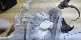 Allanamiento por Narcomenudeo en San José – Departamento Colón