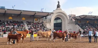 La Cabaña La Fraternidad se coronó en la Expo Rural de Palermo