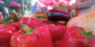 “La Feria en tu Barrio” continúa su recorrido durante julio