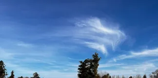 Grave accidente de tránsito en Autovía José Gervasio Artigas: un ciclista resultó con lesiones de consideración