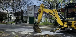 El Municipio denuncia corte de árboles y daños a la infraestructura pública