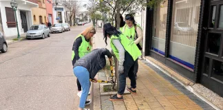 Presentarán el “Programa Municipal de Arbolado”