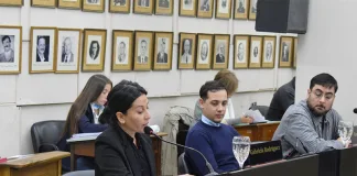 HCD: Tres concejales votaron en contra del apoyo a la Ley de Emergencia en Discapacidad