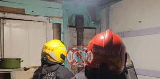 Principio de incendio por una salamandra movilizó a los bomberos