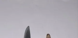 Allanamiento positivo en Villa Mantero en una causa por violencia de género