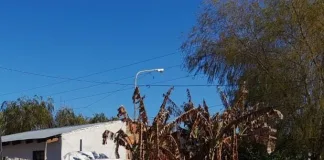 Secuestran camioneta robada