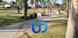 Iba borracho en moto, se subió a la plazoleta y chocó contra una palmera