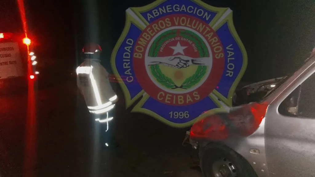 Ruta 12: utilitario colisionó con dos vacunos en plena madrugada