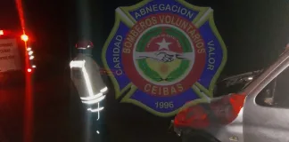 Ruta 12: utilitario colisionó con dos vacunos en plena madrugada