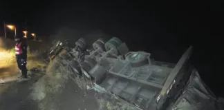 Accidente en Ruta 14: Despiste y vuelco de camión cargado con madera
