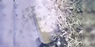 Concepción del Uruguay: Interceptan a dos menores con una ganzúa