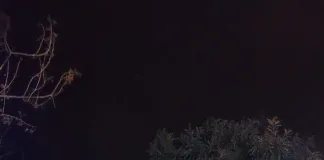 Dramático incendio en vivienda precaria: hallan calcinado a un anciano de 71 años