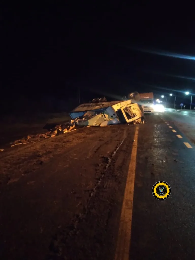 Un camión con cargado de pollos volcó en Ruta 12