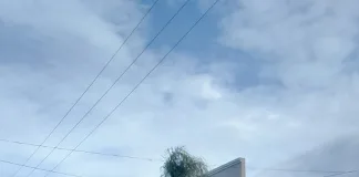 Detenido por resistirse a la autoridad durante un control vehicular