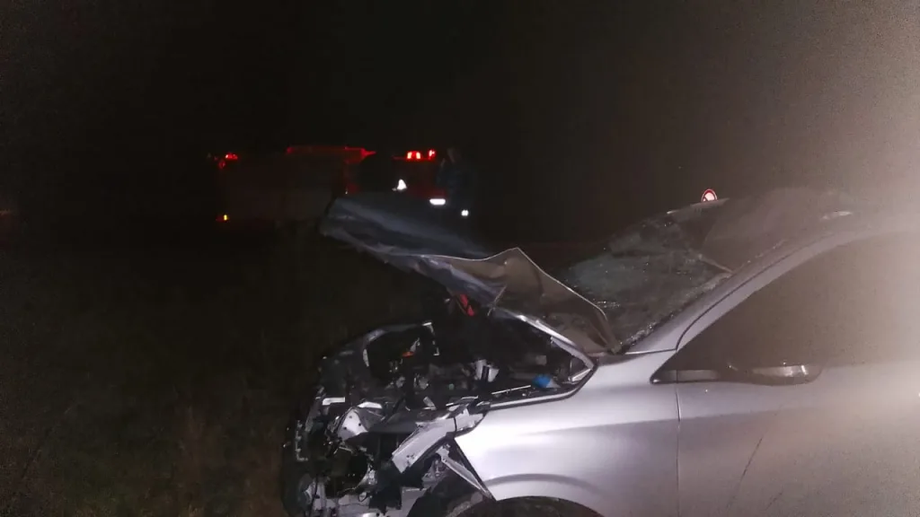 Siniestro vial en Ceibas: un auto chocó contra un equino suelto en ruta 12