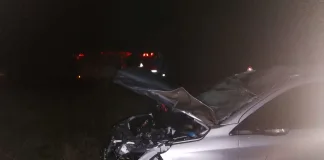 Siniestro vial en Ceibas: un auto chocó contra un equino suelto en ruta 12