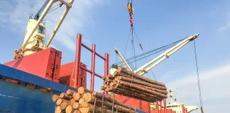 Ingresan dos buques para exportar desde Concepción del Uruguay