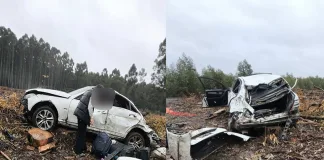 Despiste y vuelco en Liebig: tras impactar con un ciervo en Ruta 130