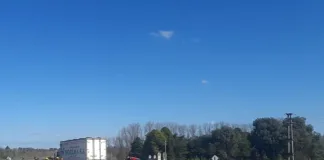 Accidente en la Autovía Gervasio Artigas: Mujer Grave Tras Colisión con Camión