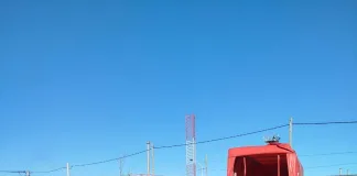 Se recuperaron 24 caballos abandonados en la ciudad