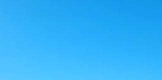 Caminata Aventura visitó el arroyo Colman