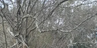 Caminata Aventura Cdelu disfrutó una jornada inolvidable en Paso Vera