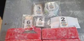 Importante operativo antidrogas en Gualeguaychú terminó con 12 detenidos y droga incautada