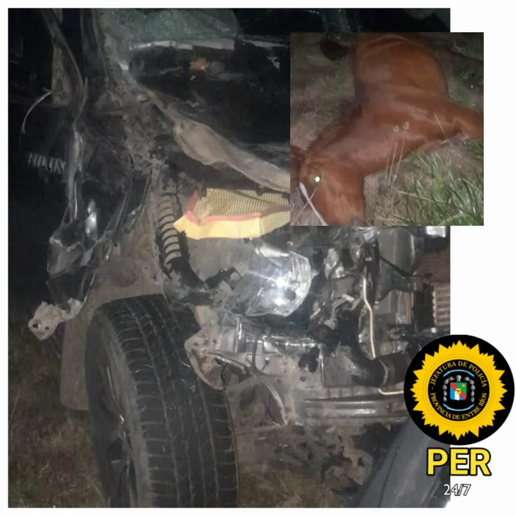 Violento accidente en Ruta 18: una camioneta embistió un caballo suelto