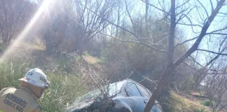 Despiste en la Autovía 12: un vehículo terminó contra un árbol en Ceibas