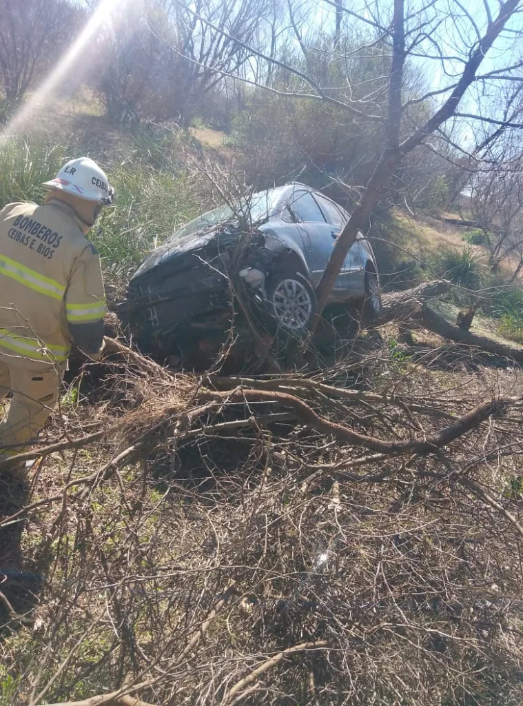 Despiste en la Autovía 12: un vehículo terminó contra un árbol en Ceibas