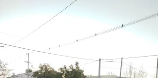 Motociclista resultó con lesiones leves tras colisión con vehículo que circulaba en contramano