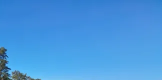 Secuestran cocaína y identifican a dos personas en operativo rutinario en San Salvador