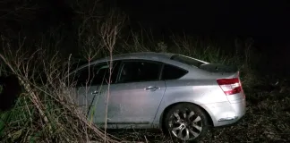 Siniestro vial: un auto despistó y terminó en zona de pastizales