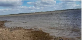 Incautación de Cuatro Armas de Fuego en Islas del Departamento Diamante: Un Operativo Exitoso de la Brigada Flotante