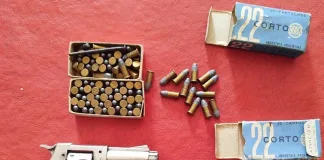 Violencia de género en San Isidro: detienen a un hombre y secuestran un arma de fuego